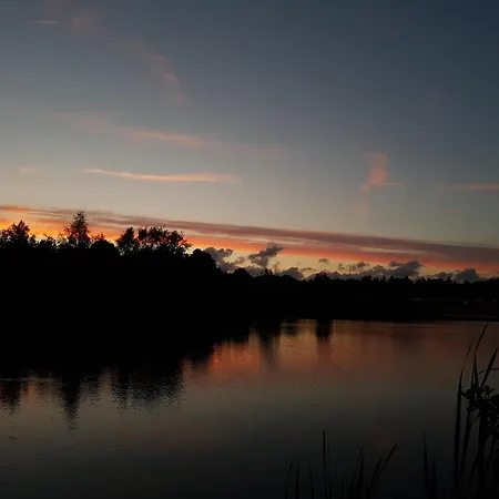 Silbermoewe Am Kransburger 548