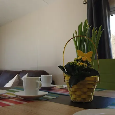 Ferienhaus Silbermöwe Am Kransburger 548